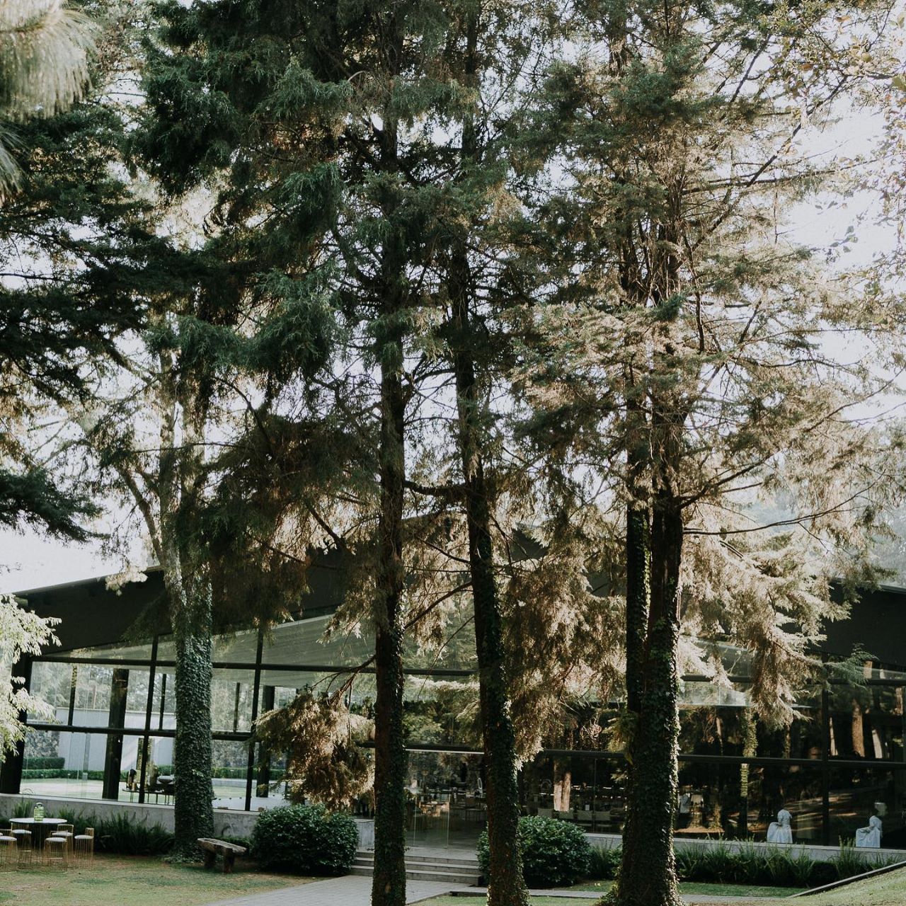 Rincón del Bosque